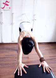 Iyengar yoga 輔助掛繩